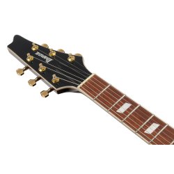 Ibanez IC420-GD Iceman Elguitar