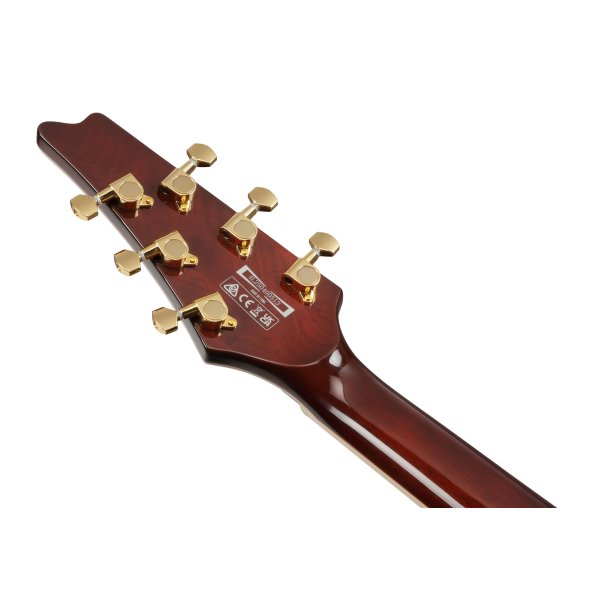 Ibanez IC420-GD Iceman Elguitar