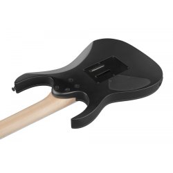 Ibanez RG7420EX-BKF elektrisk guitar 7-strenget.