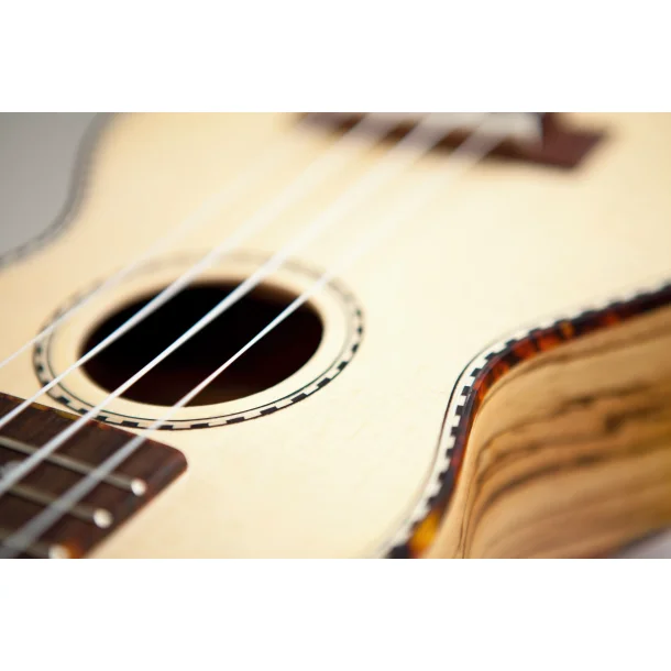 Reno RU210 Ukulele 