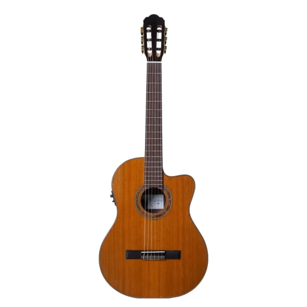 Santana El Cl�sico 98 spanish guitar w pickup