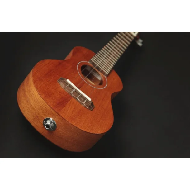 Takamine EGU-C1 Concert Ukulele med pickup