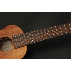Takamine EGU-S1 Sopran Ukulele med pickup
