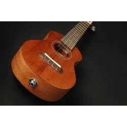 Takamine EGU-S1 Sopran Ukulele med pickup