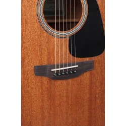 Takamine GD11MCE-NS