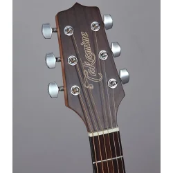 Takamine GD11MCE-NS