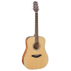 Takamine GD20-NS