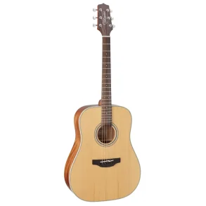 Takamine GD20-NS