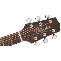 Takamine GD20-NS