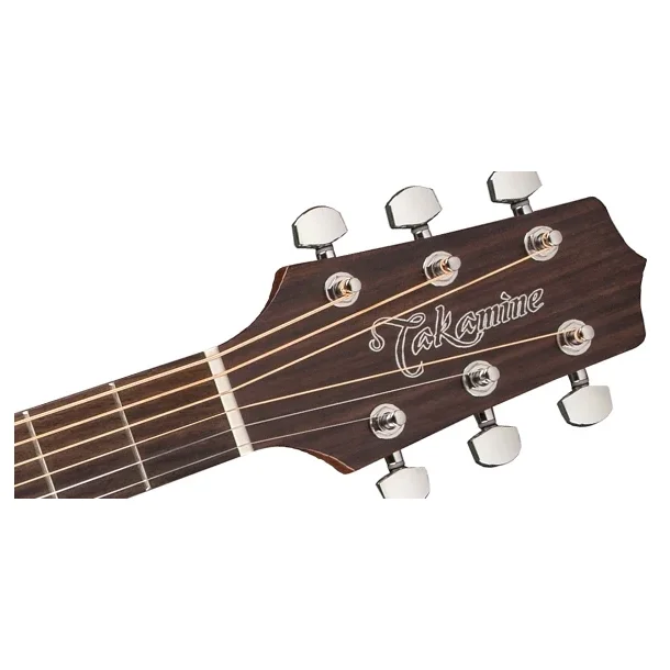 Takamine GD20-NS