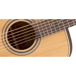 Takamine GD20-NS