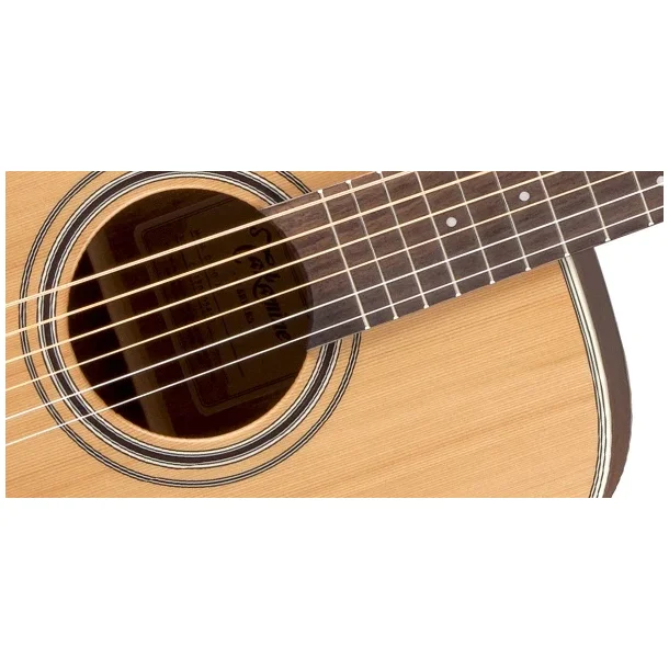 Takamine GD20-NS