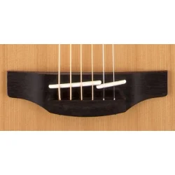 Takamine GD20-NS
