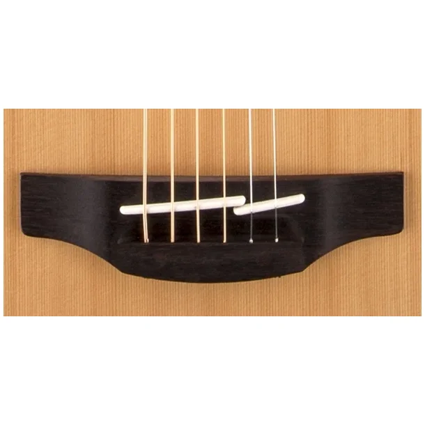 Takamine GD20-NS