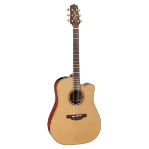 Takamine P3DC