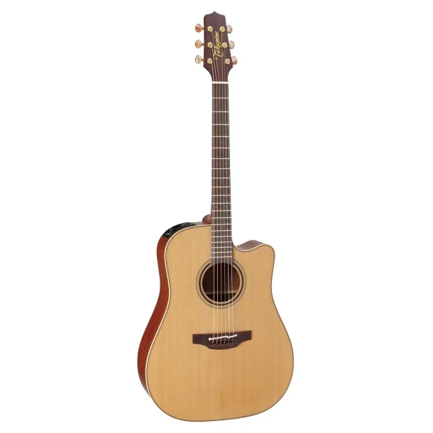Takamine P3DC