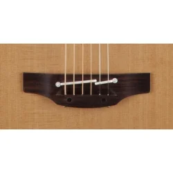 Takamine P3DC