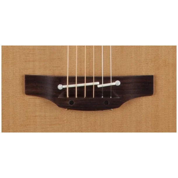 Takamine P3DC