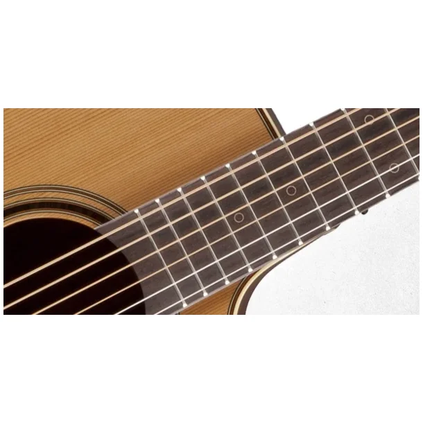 Takamine P3DC