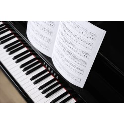 Yamaha CLP-885 PE Blank Sort Digital Piano