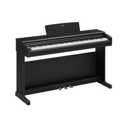 Yamaha YDP-146, sort