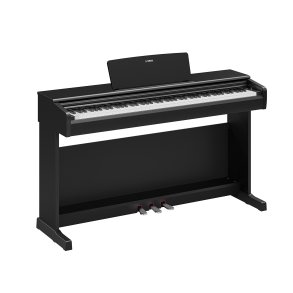Yamaha YDP-146, sort