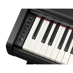 Yamaha YDP-146, sort