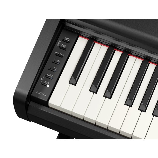 Yamaha YDP-146, sort