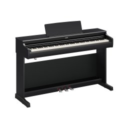 Yamaha YDP-166, sort