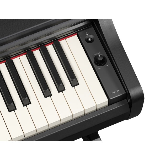 Yamaha YDP-166, sort
