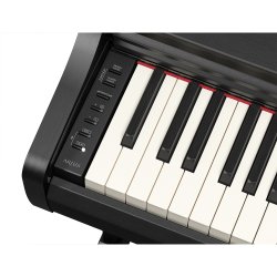 Yamaha YDP-166, sort