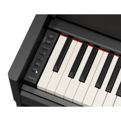Yamaha YDP-S56, sort
